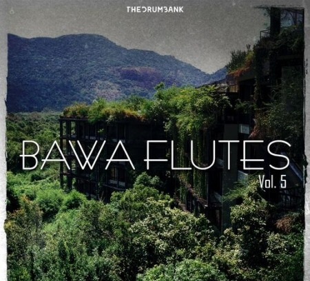 Dynasty Loops Bawa Flutes 5 WAV